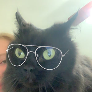 Meet your Posher, Raleigh